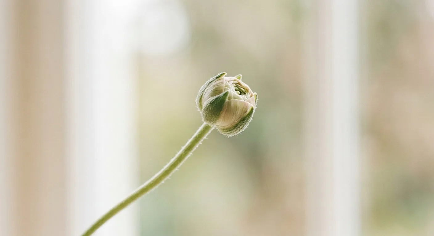 A single closed flower bud on a slender stem, soft natural light